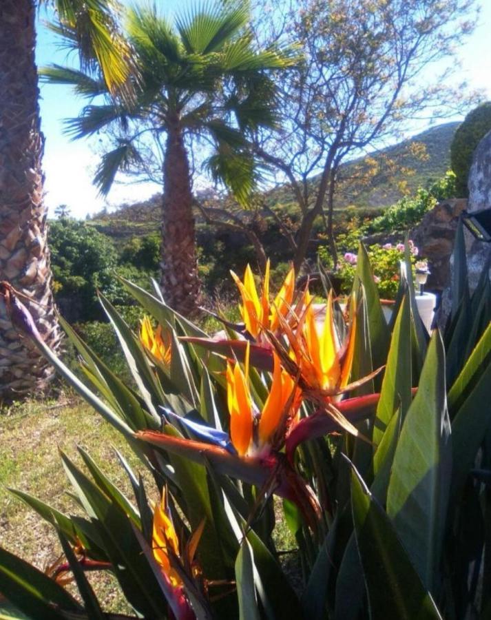 La Casita Ma Petite Folie Tenerife Санта-Крус-де-Тенерифе Экстерьер фото