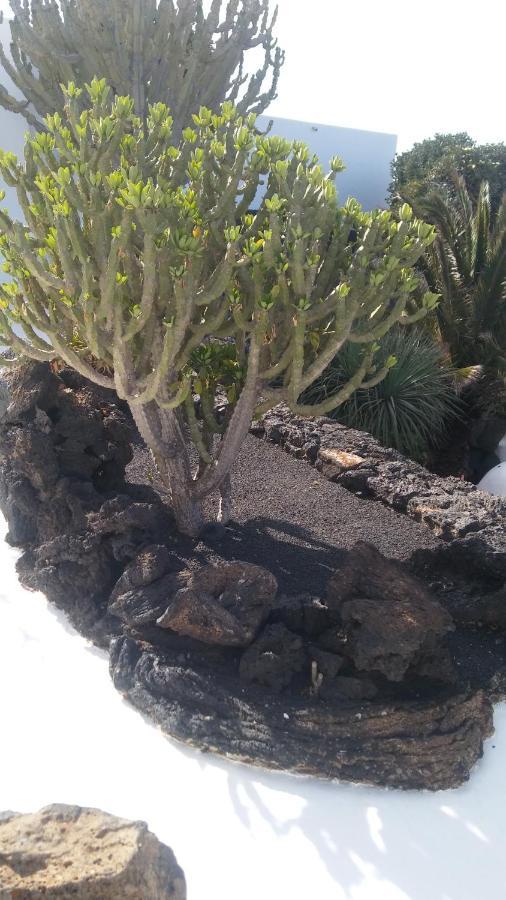 La Casita Ma Petite Folie Tenerife Санта-Крус-де-Тенерифе Экстерьер фото